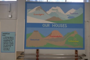 Barrow Hedges Primary, Houses